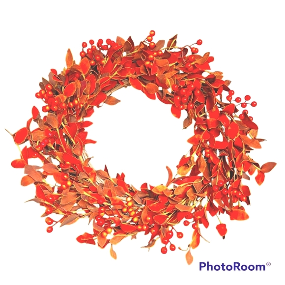 Grapevine wreath, berries and leaves, 17 in. Front view, 14 in. frame - Picture 1 of 4